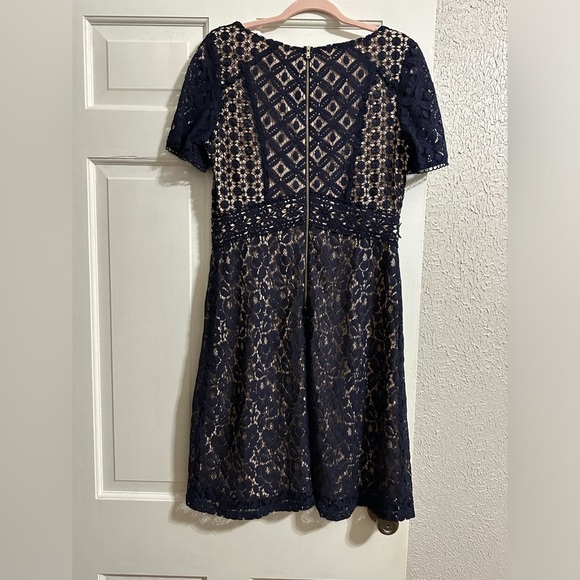 Sangria Midi Elegant Fit and Flare Lace overlay dress in Navy, 10 - Picture 7 of 8